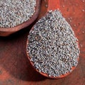 Dry poppy seed Royalty Free Stock Photo