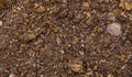 Dry potting soil in macro closeup, pattern of dry ground, gardening background, fertile earth Royalty Free Stock Photo