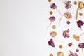 Dry ranunculus and globe amaranth flowers on white background Royalty Free Stock Photo