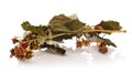 Dry raspberry leaves