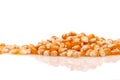 Dry, raw corn seeds on white background