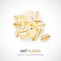 Dry Raw Oat Flakes or Oatmeal Vector Illustration