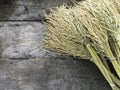 Dry raw rice paddy beautifully tie with brown rope on right side