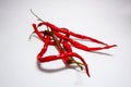 Dry red chili peppers  on white background. Free space, close-up. Royalty Free Stock Photo