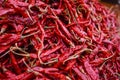 Dry Red Chillies Used As Spice Royalty Free Stock Photo