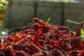 Dry Red Chilly Royalty Free Stock Photo