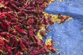 Dry Red Chilly Royalty Free Stock Photo