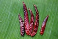 Dry red chilly Royalty Free Stock Photo