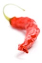 Dry red chilly pepper Royalty Free Stock Photo