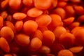 Dry red lentils very close. Red lentil grits. Dried orange lentil grains, pile of daal, raw daal, dhal, masur, Lens