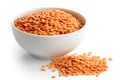 Dry red lentils in white ceramic bowl. Royalty Free Stock Photo