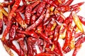 Dry red pepper Royalty Free Stock Photo