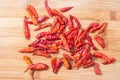 Dry red pepper Royalty Free Stock Photo