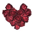 Dry red rose arranged in heart shape isolated Royalty Free Stock Photo