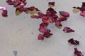 Red rose petals floating on the surface of the water in the lake Royalty Free Stock Photo