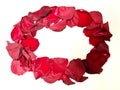 Dry red rose petals on a plane with space for text Royalty Free Stock Photo