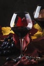 Dry Red Wine in big wine glass, autumn still life with leaves, wine tasting concept, rustic style, selective focus Royalty Free Stock Photo
