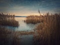 Dry reed in the frozen lake over sunset sky background. Winter landscape near pond, silent evening scene Royalty Free Stock Photo