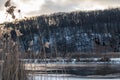 Dry reed grass on snowy river evening background