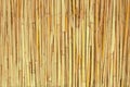 Dry reed texture