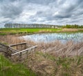 Dry reeds above the water in stormy weather. Wooden structures were destroyed on the shore of the lake, overgrown with dry reeds Royalty Free Stock Photo