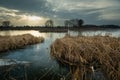 Dry reeds in a frozen lake and clouds during sunset Royalty Free Stock Photo