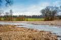 dry reeds on the shores of the reservoir, then a green field of winter wheat and trees Royalty Free Stock Photo