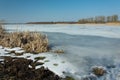 Dry reeds and snow on the edge of a frozen lake. Horizon and blue sky Royalty Free Stock Photo