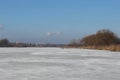 Dry reeds and trees are on the shore of a lake covered with ice Royalty Free Stock Photo