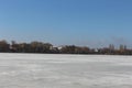 Dry reeds and trees are on the shore of a lake covered with ice Royalty Free Stock Photo