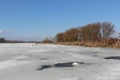 Dry reeds and trees are on the shore of a lake covered with ice Royalty Free Stock Photo