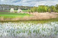 Dry reeds on the water in cloudy weather. Blooming tree on the shore of a lake overgrown with dry reeds in the spring