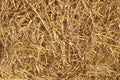 Dry rice straw texture for background and design, hay bale pattern Royalty Free Stock Photo