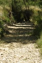 Dry arid river drought climate change, Spain