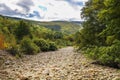 Dry river bed going through the forest between mountains in the fall Royalty Free Stock Photo