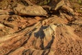 Dry river bed in Kajiado District, Kenya