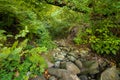 Dry river bed in mountain region Royalty Free Stock Photo