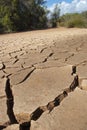 Dry river bed with plants Royalty Free Stock Photo