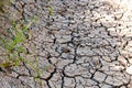 Dry river bed Royalty Free Stock Photo