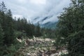 Dry river in berchtesgaden national park, Germany Royalty Free Stock Photo