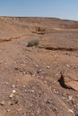 Dry river in the desert portrait Royalty Free Stock Photo