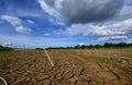 drought parched ground. Royalty Free Stock Photo