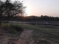 A dry river and green trees border in a village