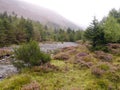 Dry river Liza in Ennerdale, Lake District Royalty Free Stock Photo