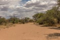 Dry river in the south of Karibib, Erongo, Namibia Royalty Free Stock Photo