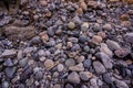 Dry river stone Royalty Free Stock Photo