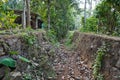 Dry River or stream Path with Roots, plants and dry leaves in a forest during dry summer. Dry river bed with path and greenery Royalty Free Stock Photo