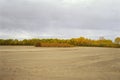 Dry river and the trees