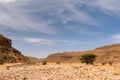 Dry river Wadi Draa near Zagora, Morocco Royalty Free Stock Photo