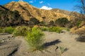 Dry Riverbed in California Canyon Royalty Free Stock Photo